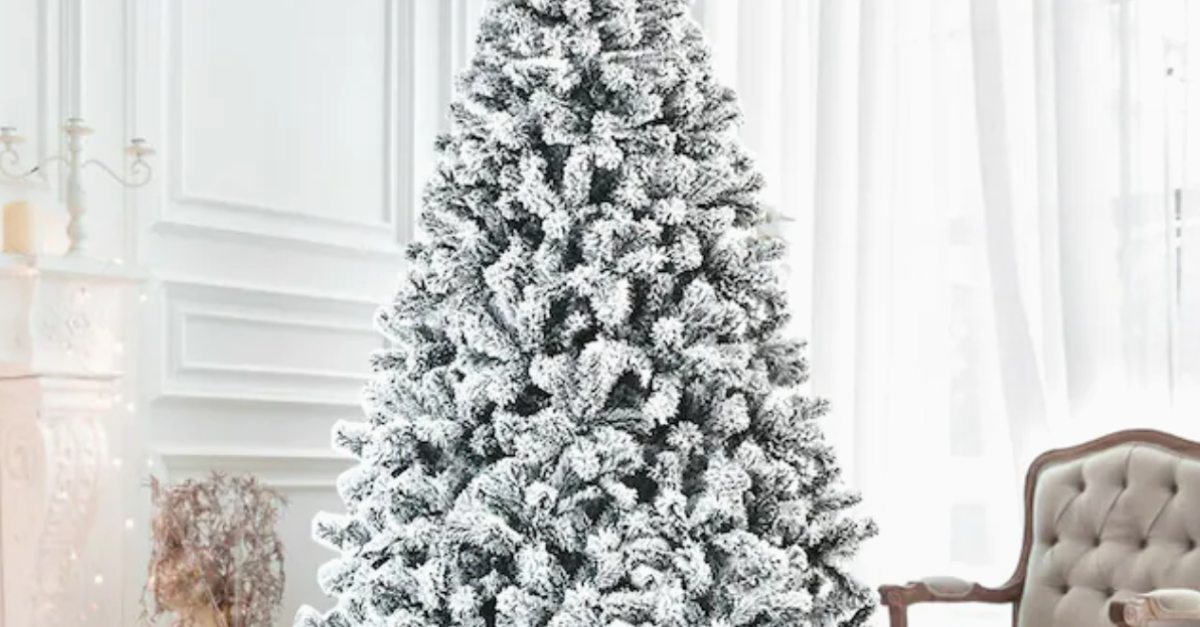 Today only: Up to 50% off Wellfor Christmas trees