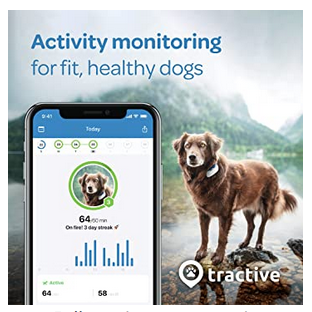 Tractive waterproof GPS dog tracker for $30