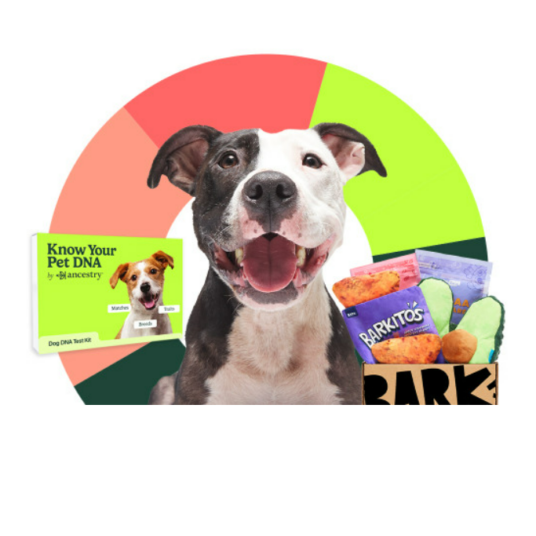 BarkBox: Get a FREE dog DNA kit with your first box