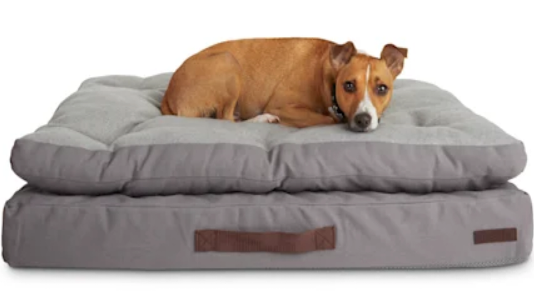 Reddy gray double-pillowtop orthopedic dog bed from $50