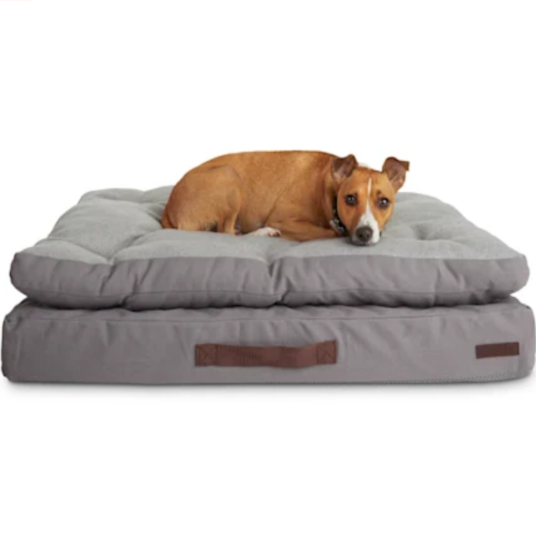 Reddy gray double-pillowtop orthopedic dog bed from $50