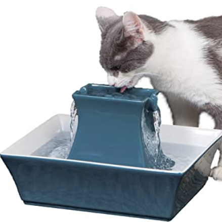 PetSafe Drinkwell Pagoda cat and dog drinking fountain for $50