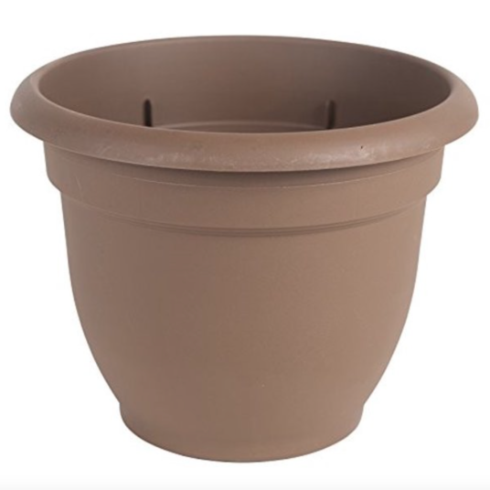 Bloem 8.75″ plastic planter pot for $6