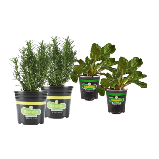 Today only: 20% off select 2-pack Bonnie herbs and plants at Lowe’s