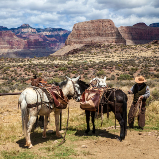 2-night refundable dude ranch adventure near the Grand Canyon for $349