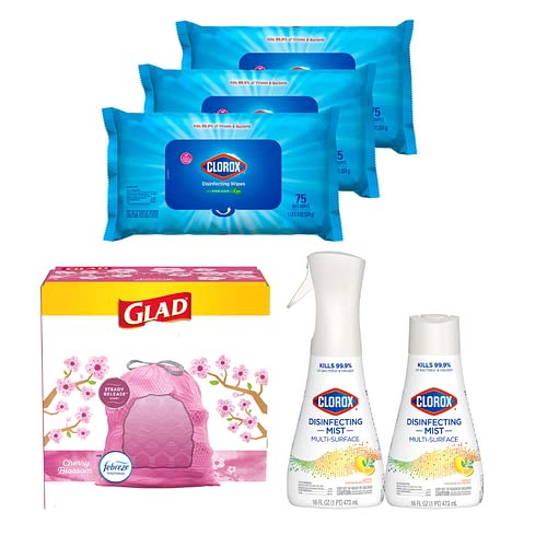 Today only: Clorox Spring cleaning essentials from $6