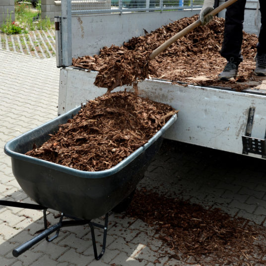 Get FREE mulch delivered with ChipDrop