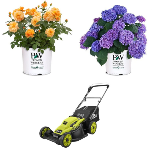 Today only: Power equipment, live goods & more from $11