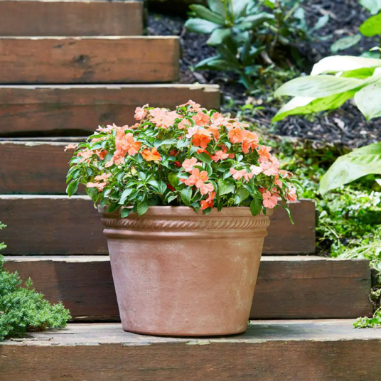 Price drop! Southern Patio Michelle large 15″ terracotta clay planter for $5