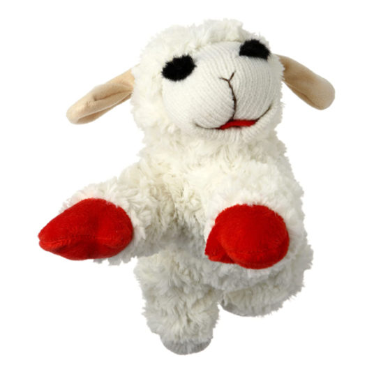 Multipet Lambchop plush dog toy with squeaker for $5