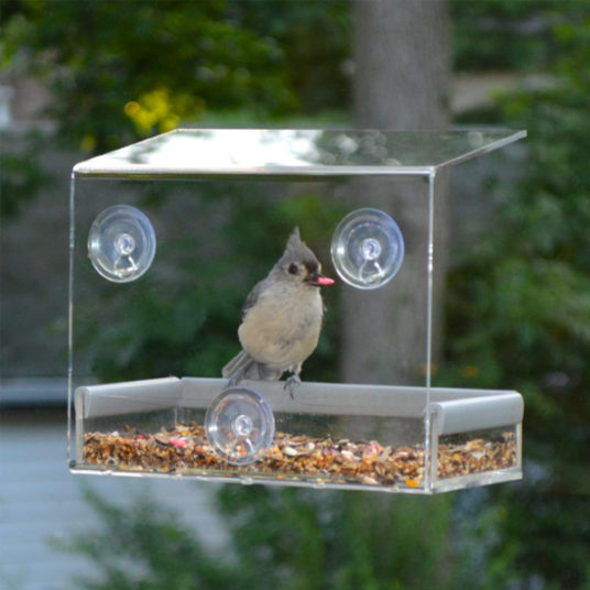 PetFusion Tranquility window bird feeder for $14 shipped