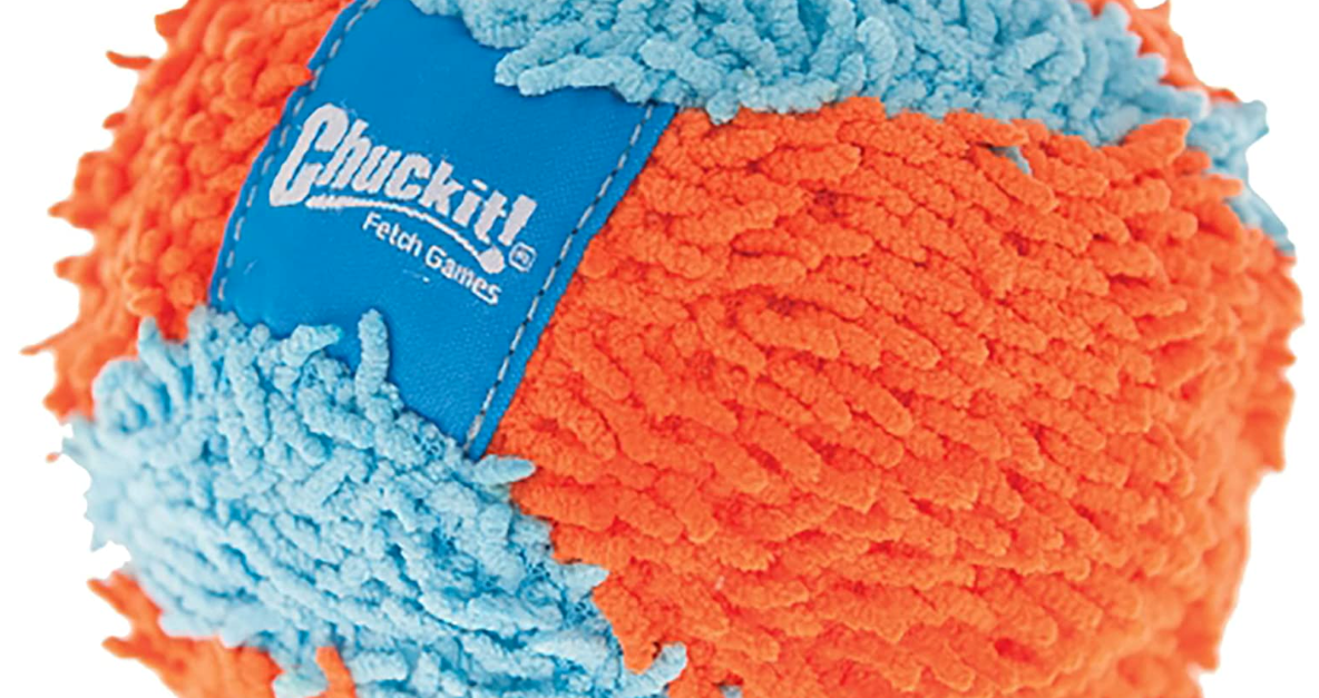 Chuckit! indoor dog toy for $4