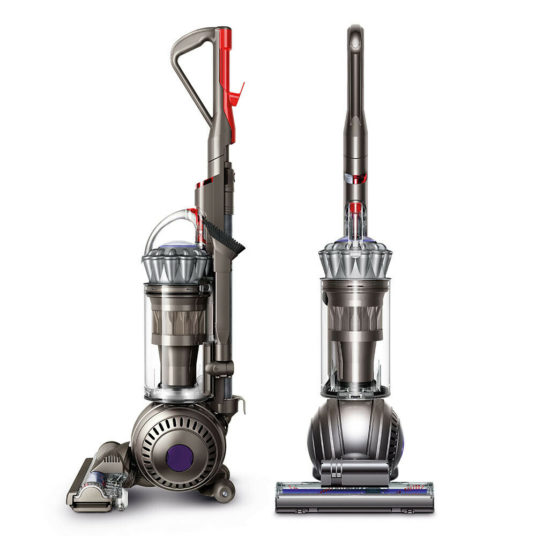 Dyson Ball Animal 2 upright vacuum for $250
