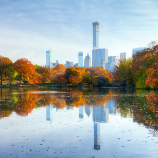 Fall flights to New York City from $42 one way plus savings tips
