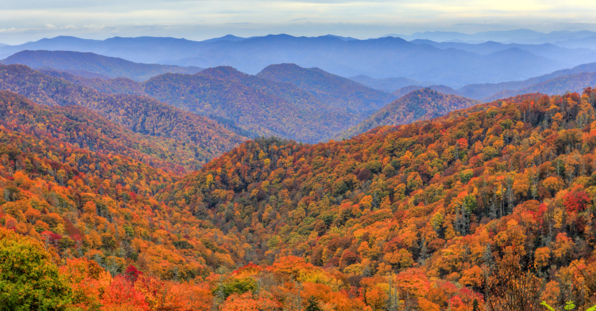 Book a Great Smoky Mountains cabin for up to 50% off