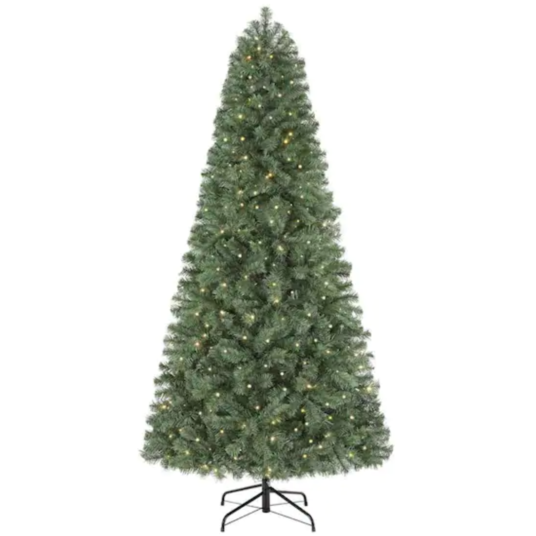 Home Accents Holiday 6.5-ft. prelit Festive Pine Christmas tree for $50