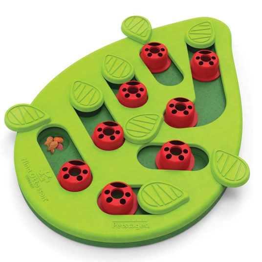 Nina Ottoson by Petstages Buggin’ Out Puzzle & Play interactive cat toy for $13