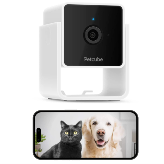 Petcube Cam indoor Wi-Fi pet and security cam for $35