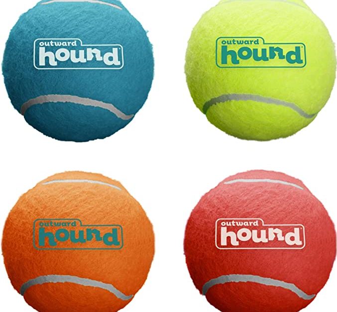 4-pack Outward Hound Squeaker Ballz fetch dog toy for $4
