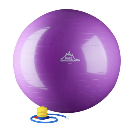 Black Mountain Products static strength exercise stability ball with pump for $8