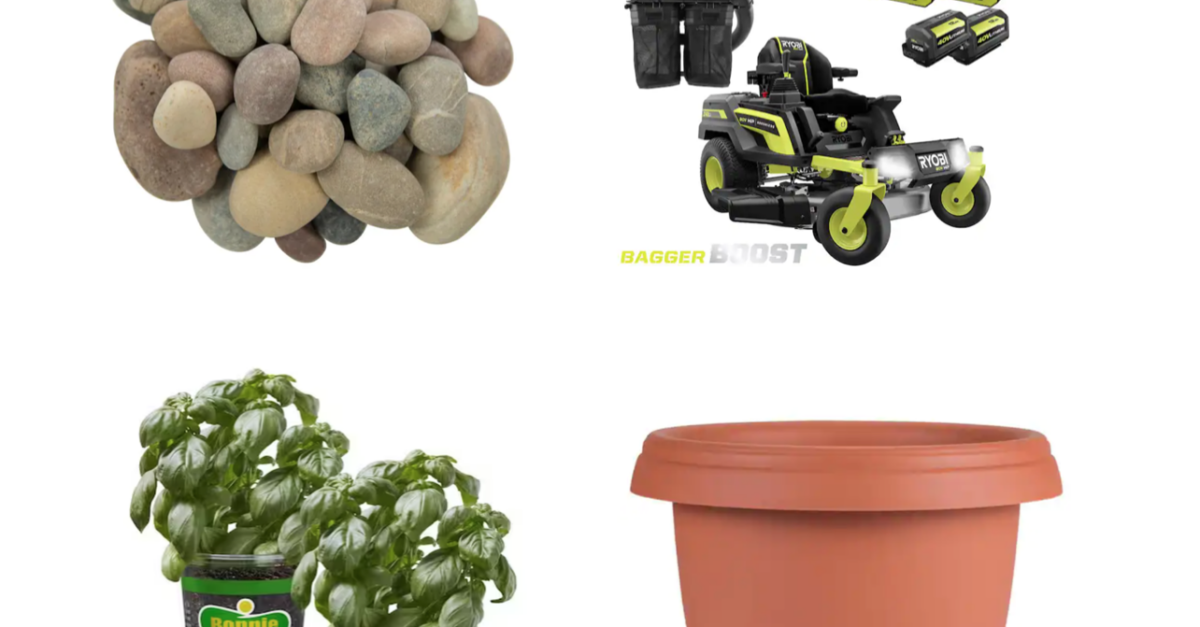 Today only: Up to 40% off live plants, planters, tools & more