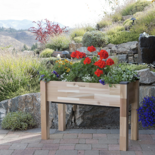 Costco members: Cedarcraft self-watering elevated garden planter for $200
