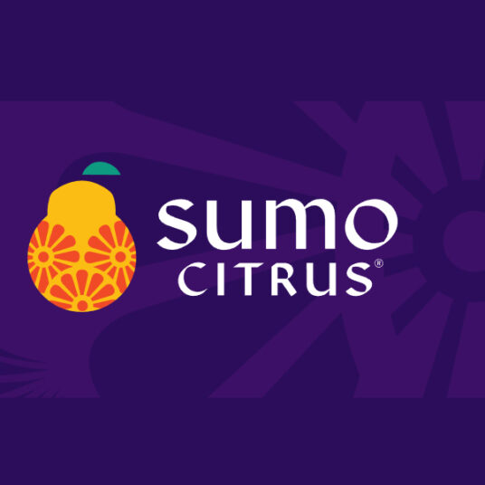 Get a FREE Sumo Citrus beanie & tote bag with email signup