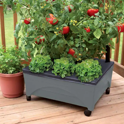 City Pickers raised patio garden bed from $25