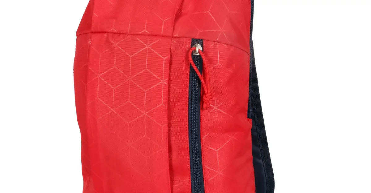 Ozark Trail adult 10-liter backpacking daypack for $6