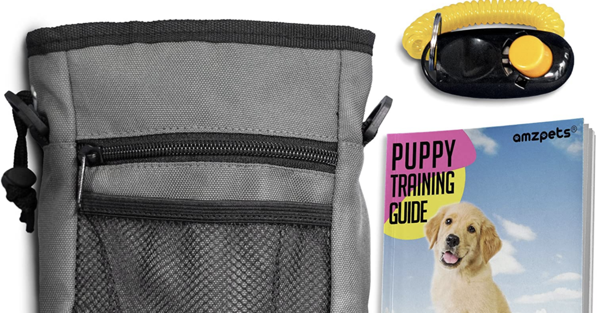 AMZpets 5-piece dog training kit for $4