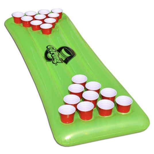 GoPong Pool Pong table for $10