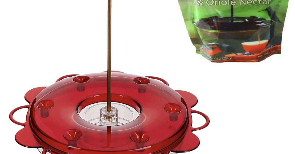 Naturesroom hummingbird feeder kit by Birds Choice for $18