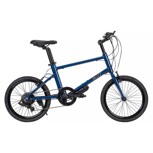 Charter-Buzz Blue E-Bike for $251