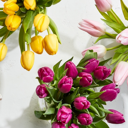 Amazon Prime members get 15-stem bunch of tulips for $10