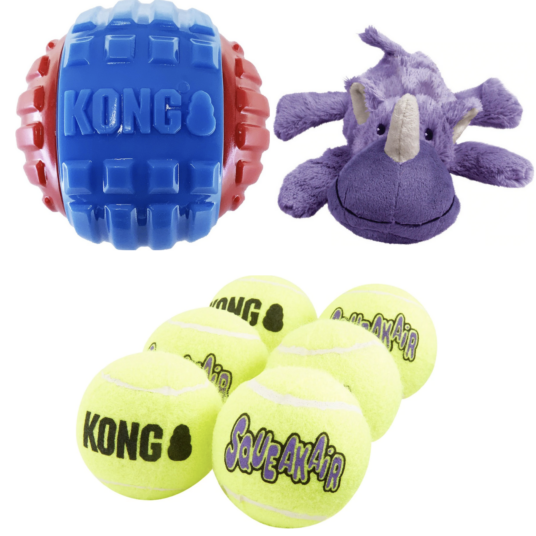 Buy 1 Kong toy, get 1 FREE