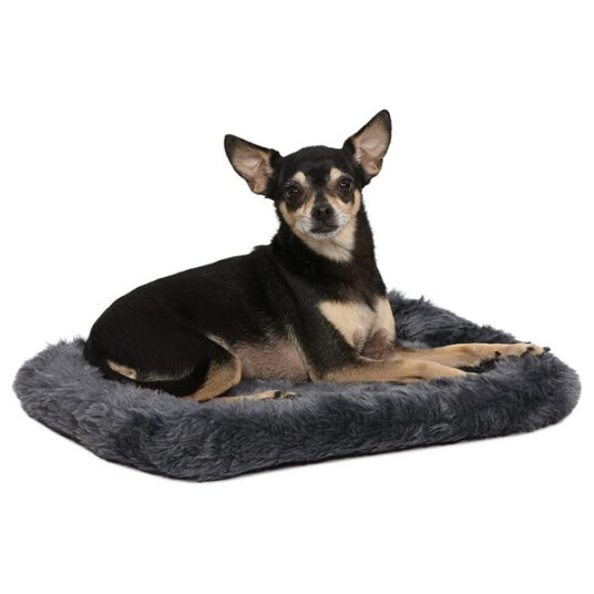 MidWest Homes 18-inch gray dog or cat bed for $5