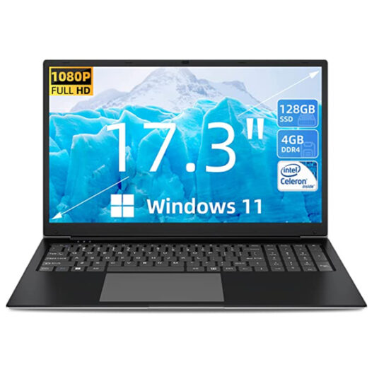 SGIN 17-inch 4GB Windows 11 laptop for $290