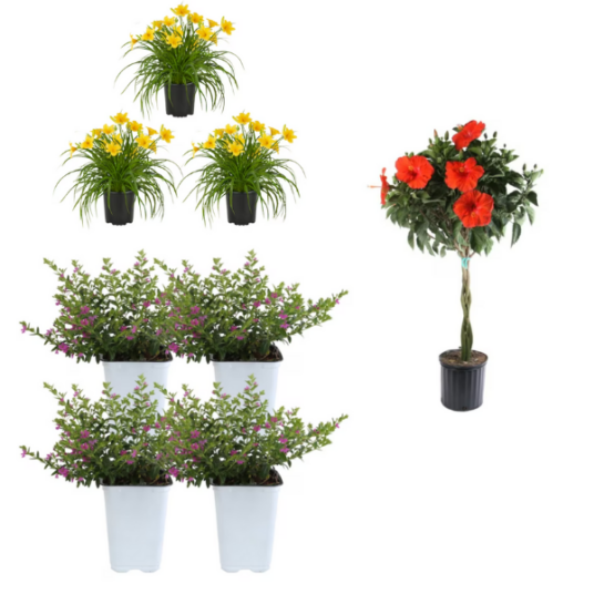 Today only: Up to 35% off select potted plants