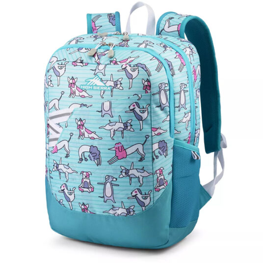 High Sierra Outburst backpack for $20