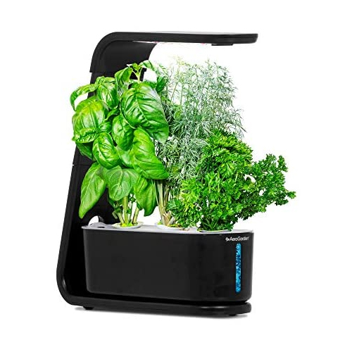AeroGarden Sprout with seed pod kit for $35