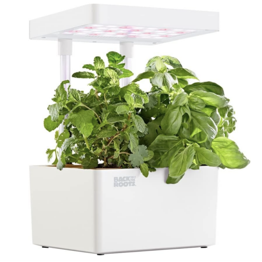 Today only: Back to the Roots hydroponic grow kit for $16