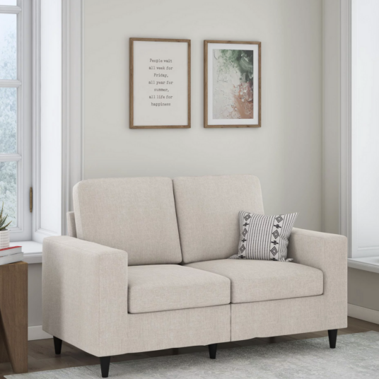 DHP Cooper 2-seater loveseat for $158