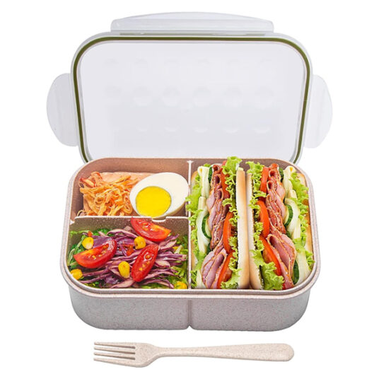 Miss Big large leak proof bento box lunch box for $14
