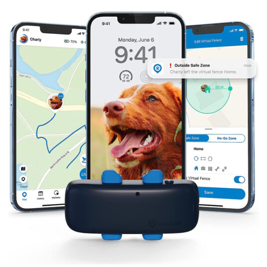 Tractive GPS pet dog tracker for $35
