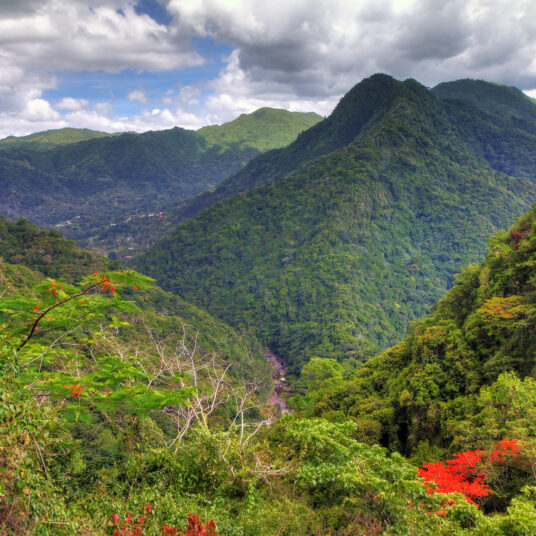 Flights from Atlanta to Puerto Rico from $160 round-trip + rainforest treehouse