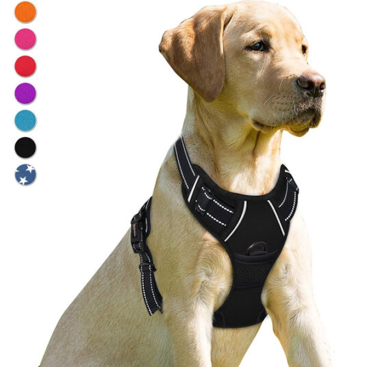 BarkBay no-pull dog harness for $16