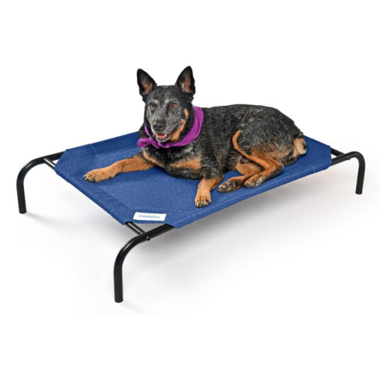 Coolaroo cooling elevated dog bed for $19