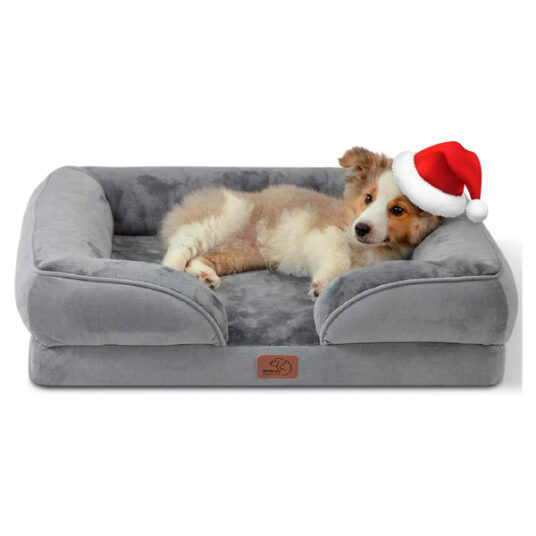 Bedsure orthopedic bed for medium dogs for $34