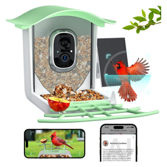 Gageur bird feeder with AI camera for $100