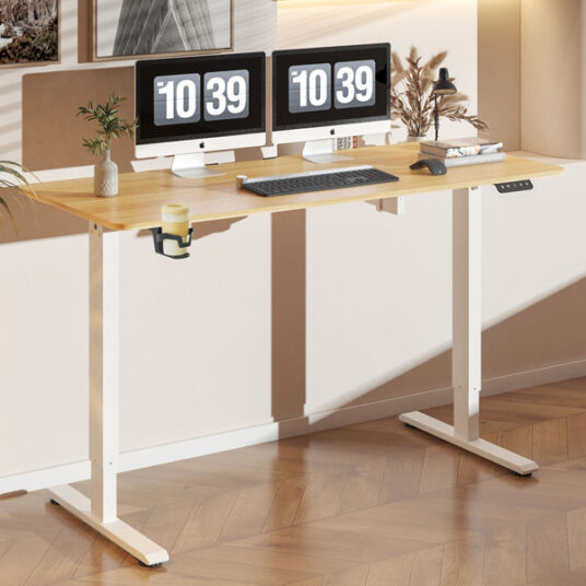 FlexiSpot 43″ x 24″ electric height adjustable standing desk for $91